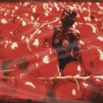 Relieved amazement The sculpture Eva.2017 has freed herself out of the berry trap. But this bears are berries.